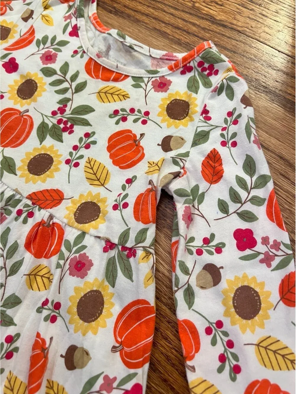 TCP Girls 2-pack of Long Sleeve Dresses: Fall Dress & Halloween Dress (3T)